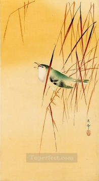 Ohara Koson Painting - songbird in reeds Ohara Koson Shin hanga